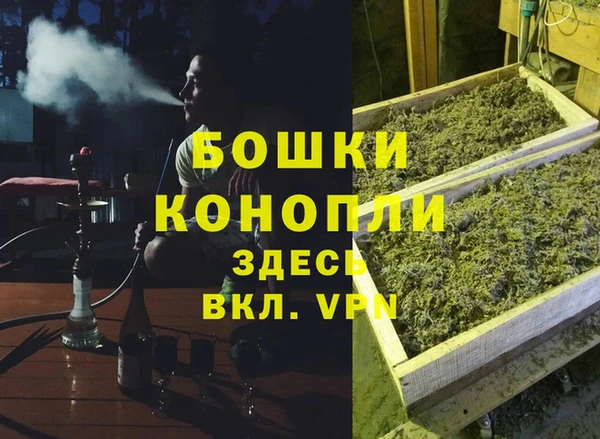 шишки Алзамай